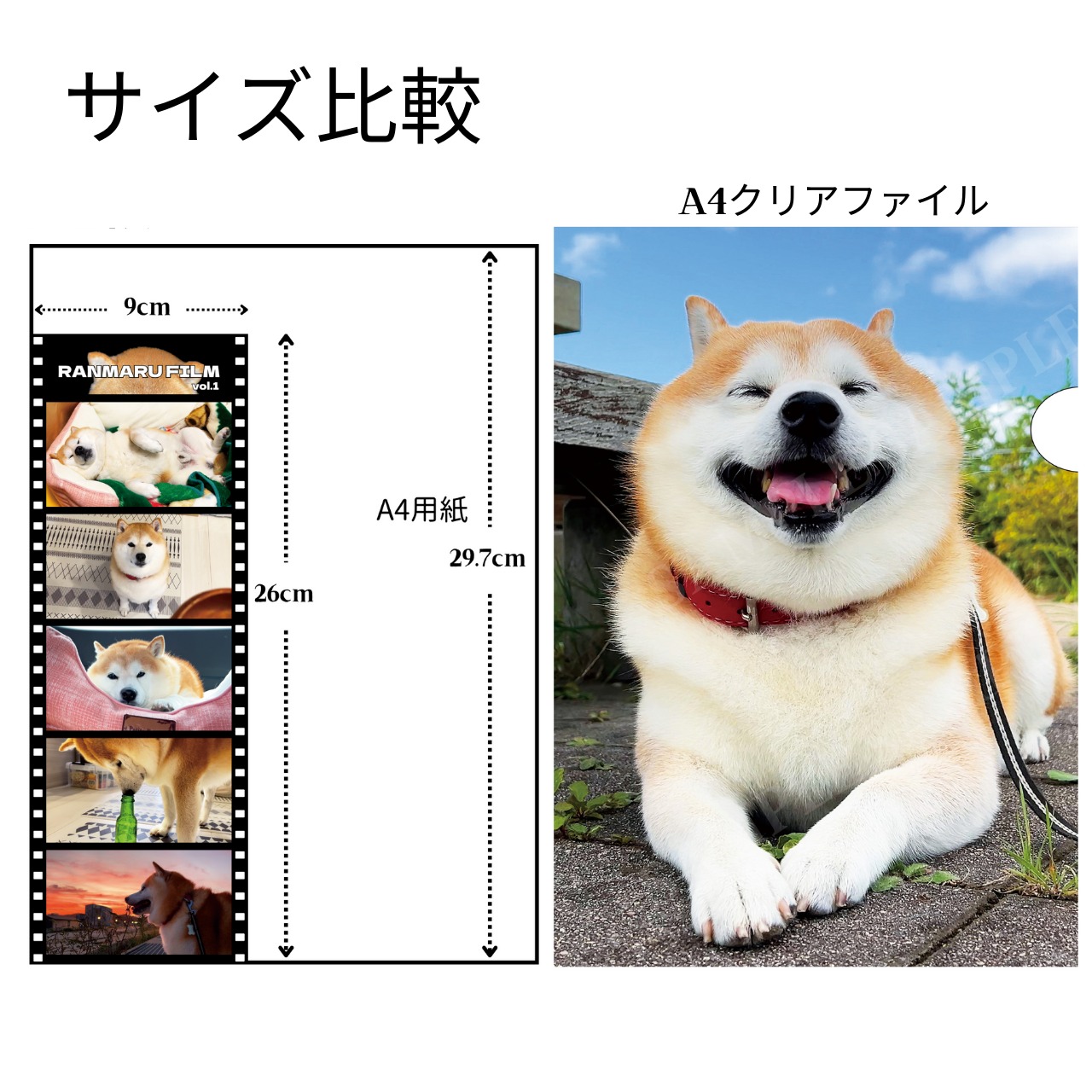 ①Overseas Customers Only（海外発送専用）：①おおきなムービー 
