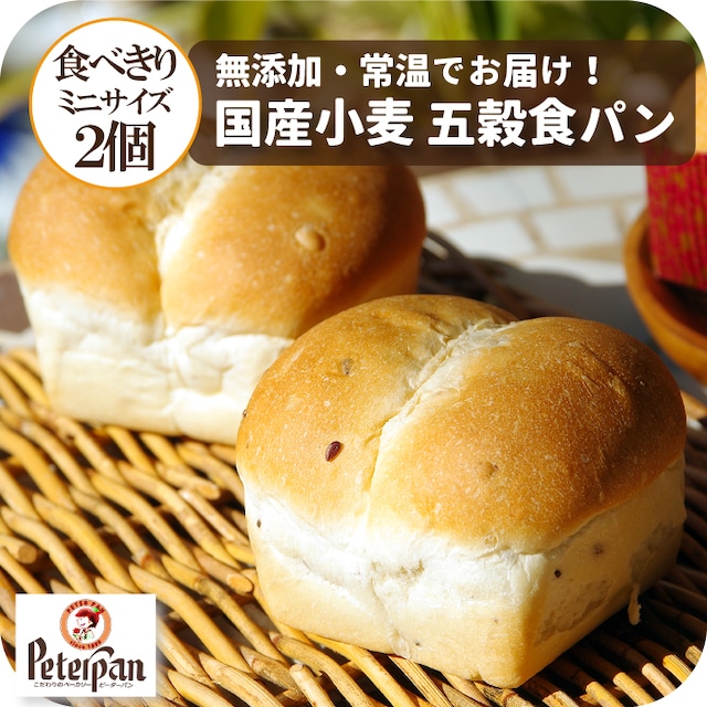【国産小麦の五穀食パン キューブ型 ミニサイズ２個セット】国産小麦パン 天然酵母 保存料不使用 無添加 送料無料キャンペーン 常温長持ち