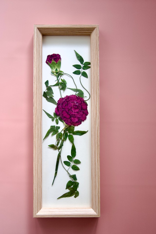 ＊母の日ギフト＊  カーネーションの押し花フレーム 【ワインレッド】
