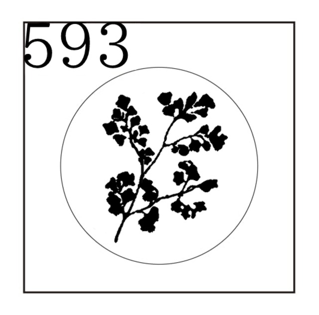 《オーダー品》【シーリングスタンプ／封蝋印】「593／ハーブ」草花・ボタニカル