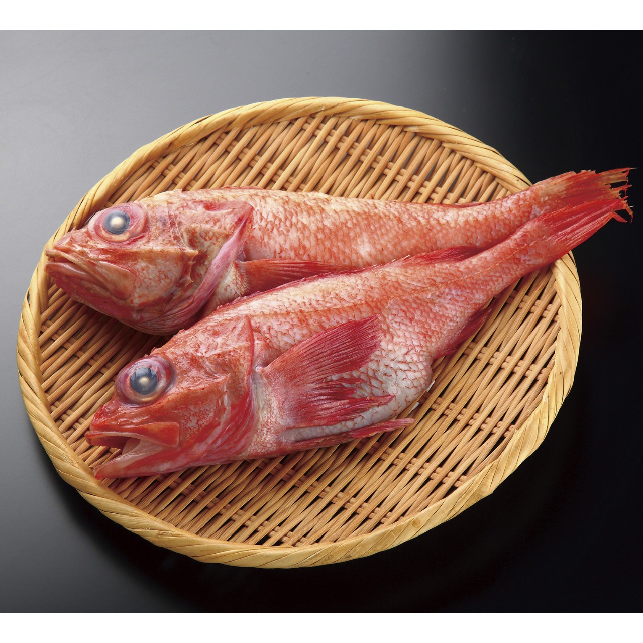 宮城県産 とろ金華きんき(吉次) 9尾/3Kg