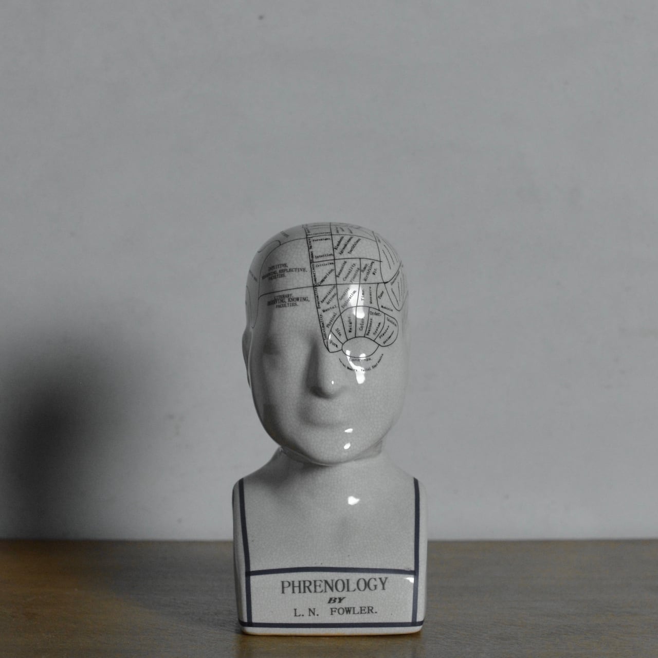 Phrenology Head 【L】 / フレノロジー ヘッド〈オブジェ・置物・人体
