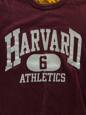 80's Champion トリコタグ "HARVARD" リバーシブルTシャツ 3段プリント 表記(L) エンジ