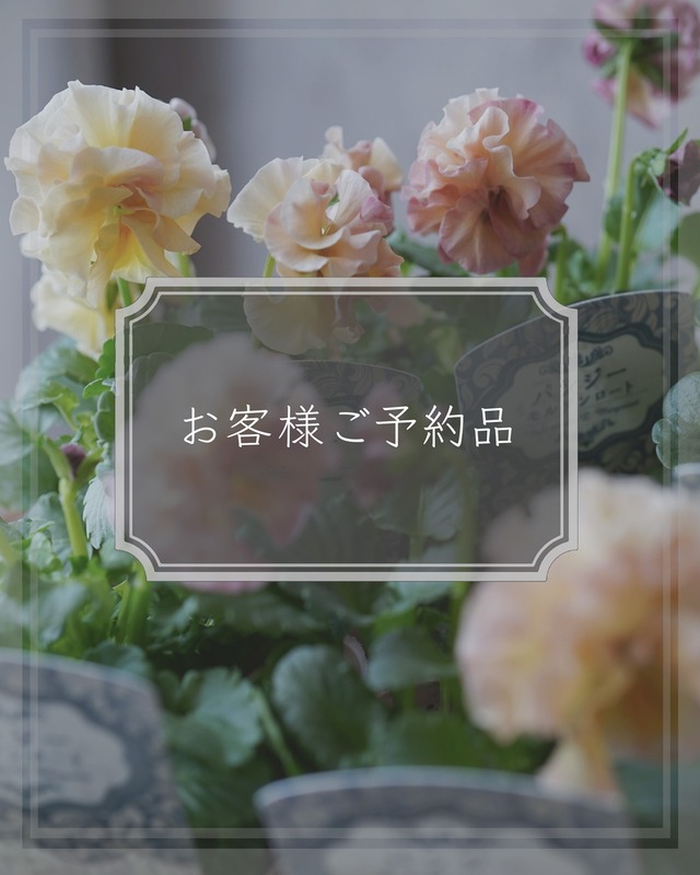 【お客様お問い合わせ商品】桐箱、水引き飾りなど