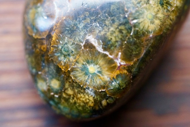 オーシャンジャスパー Ocean Jasper ④