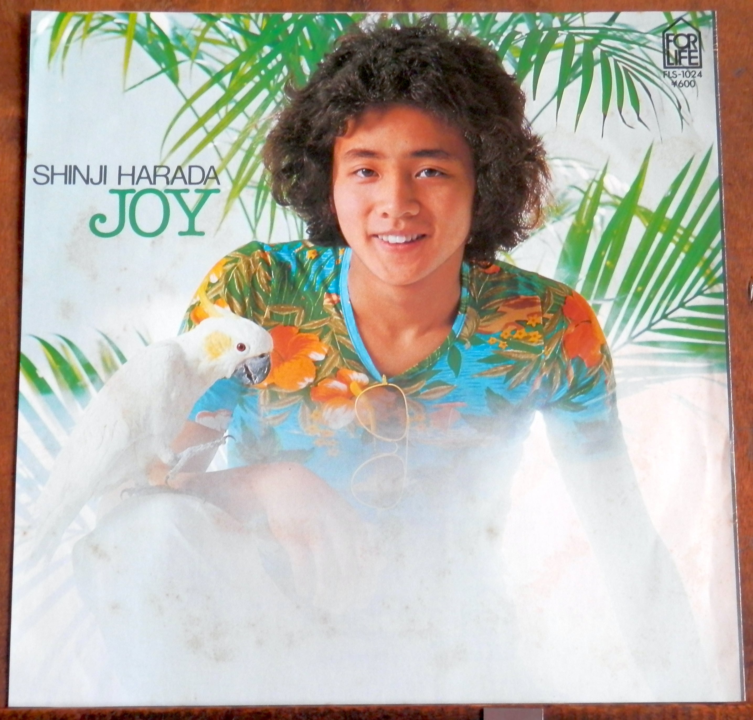 bddbb76298a56a533f5995f2fd7157