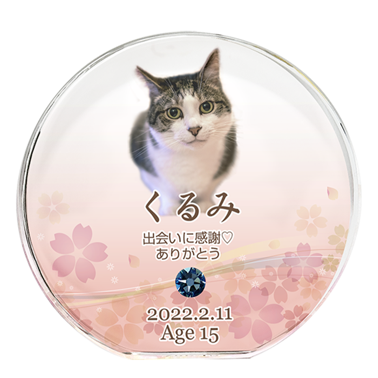 特別企画】クリスタル ペット位牌/華(サークル) カラー 特別企画】クリスタル ペット位牌/華(サークル) カラー