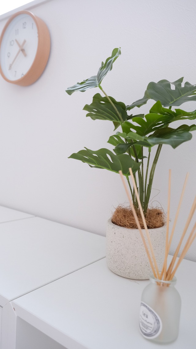 コーディネート No.003