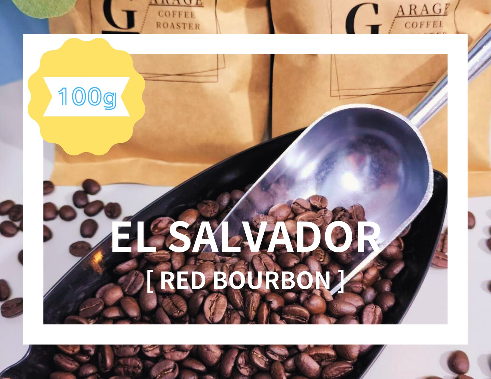 EL SALVADOR】エルサルバドル ロマ・ラ・グロリア レッドブルボン
