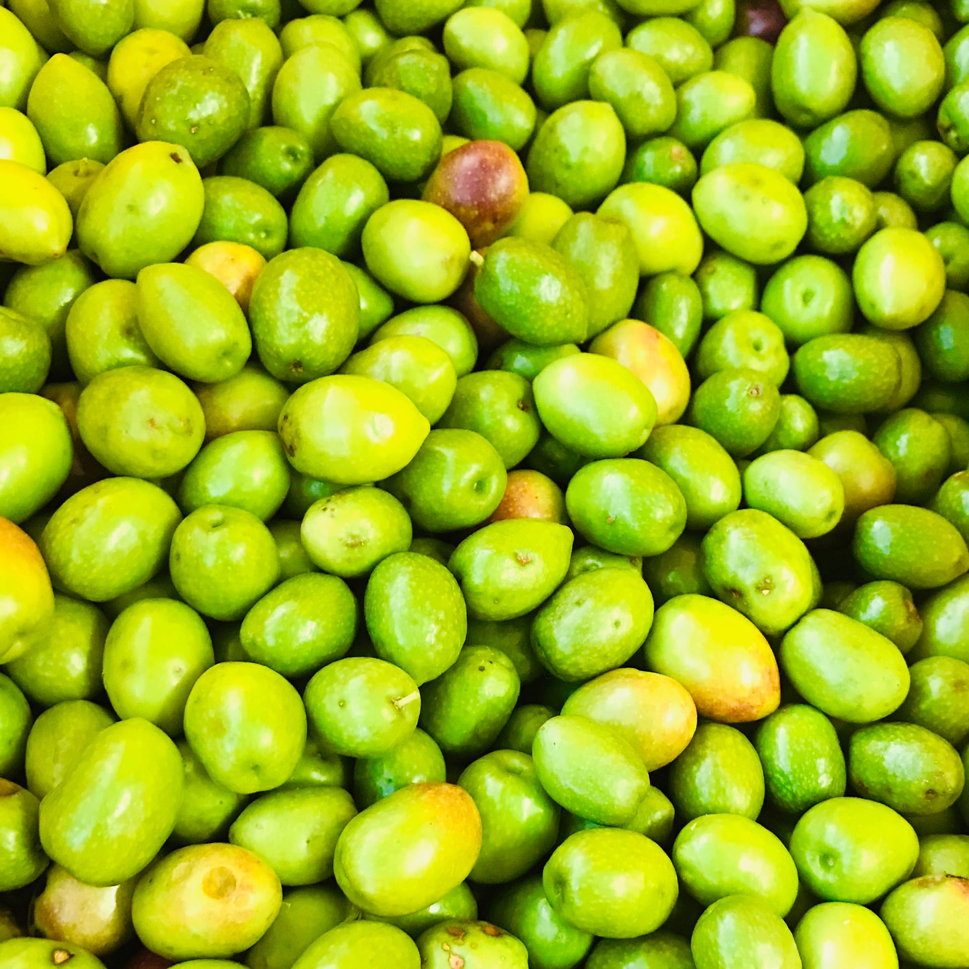 小豆島産エキストラバージン オリーブオイル 味咲（みさき）＜（株）小豆島岬工房＞