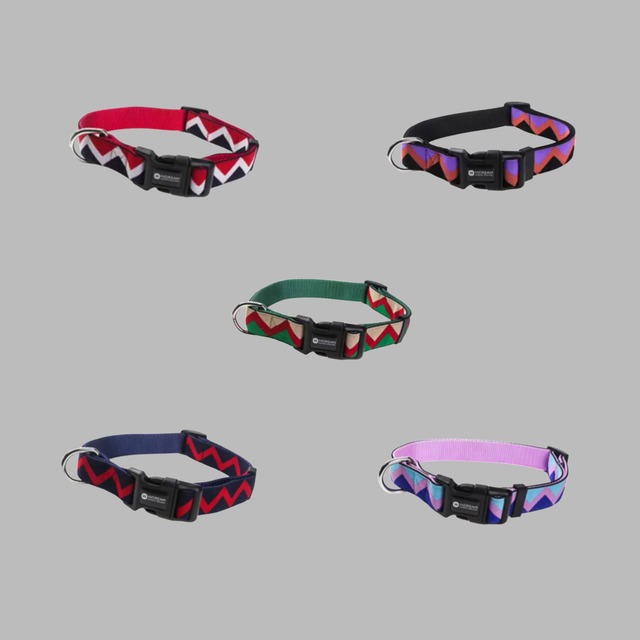 rainbow Collar  ーSW12