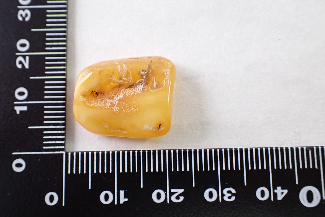 【原石セット】バルティックアンバー 1.16ct/6.99ct 　[C2‐1043]