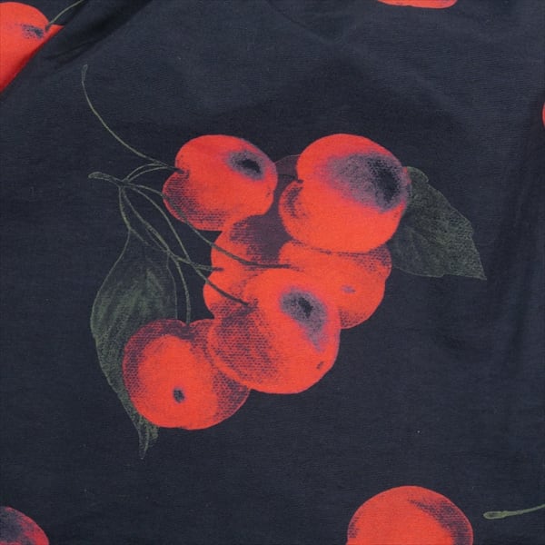 Size【M】 SUPREME シュプリーム 19SS Nylon Water Short Black Cherry