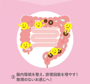 アウトレット 菊芋の極み〈家計応援価格〉3袋セット(2ヶ月分)