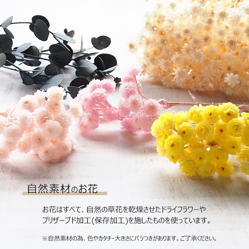 50024 敬老の日 メッセージ カード 花 言葉の プレゼント ポスト投函