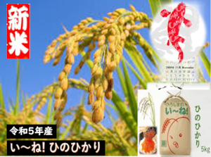 　令和５年産　広島県産.ひのひかり5ｋ【送料無料】　