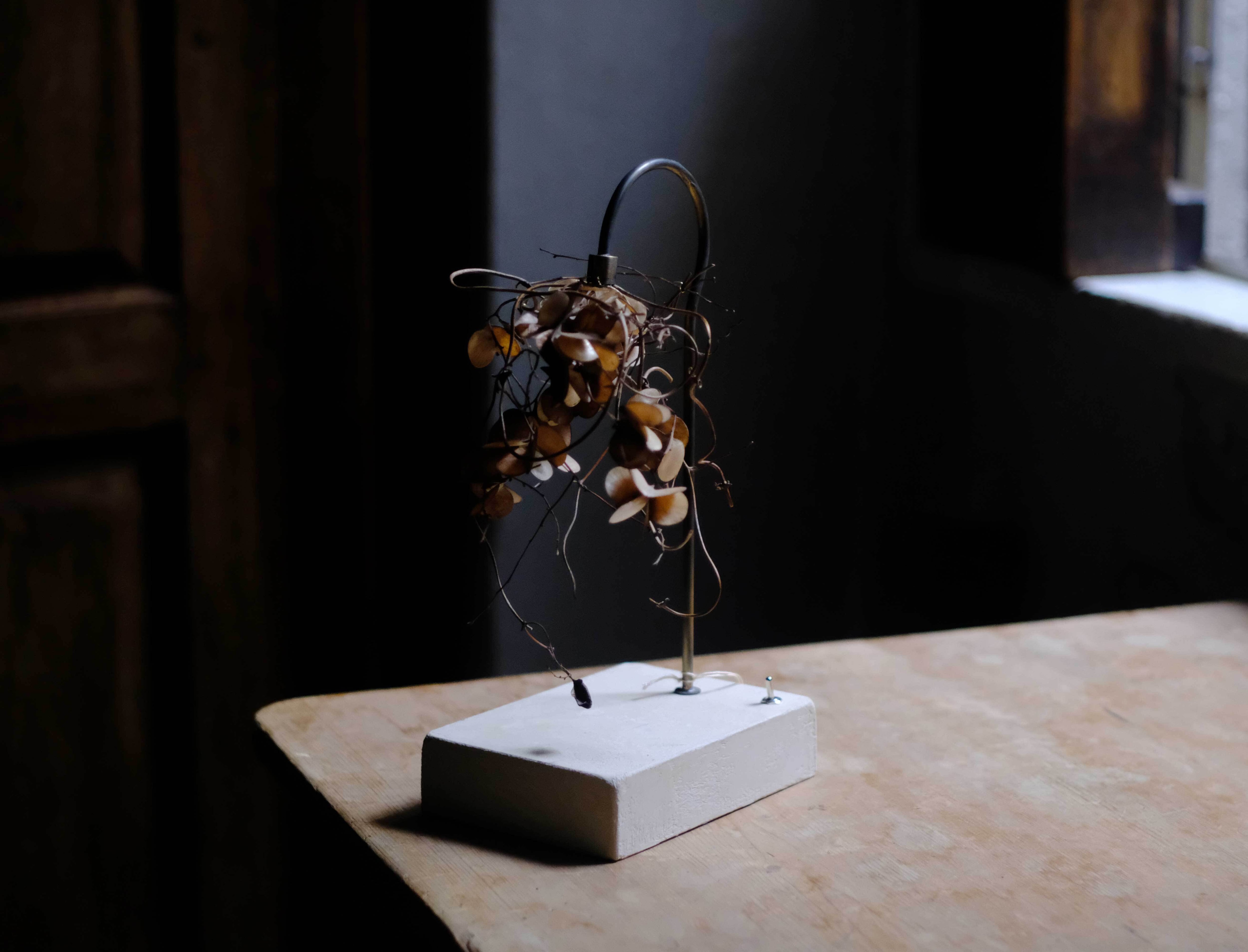 The FINAL EXHIBITION] 森の小さな灯 no.23 自然薯 L size | はいいろ