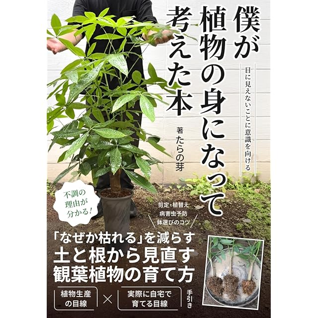 日本の野生植物 木本Ⅰ | PAY ID