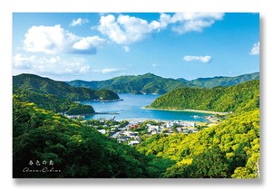 奄美ポストカード「春色の島」