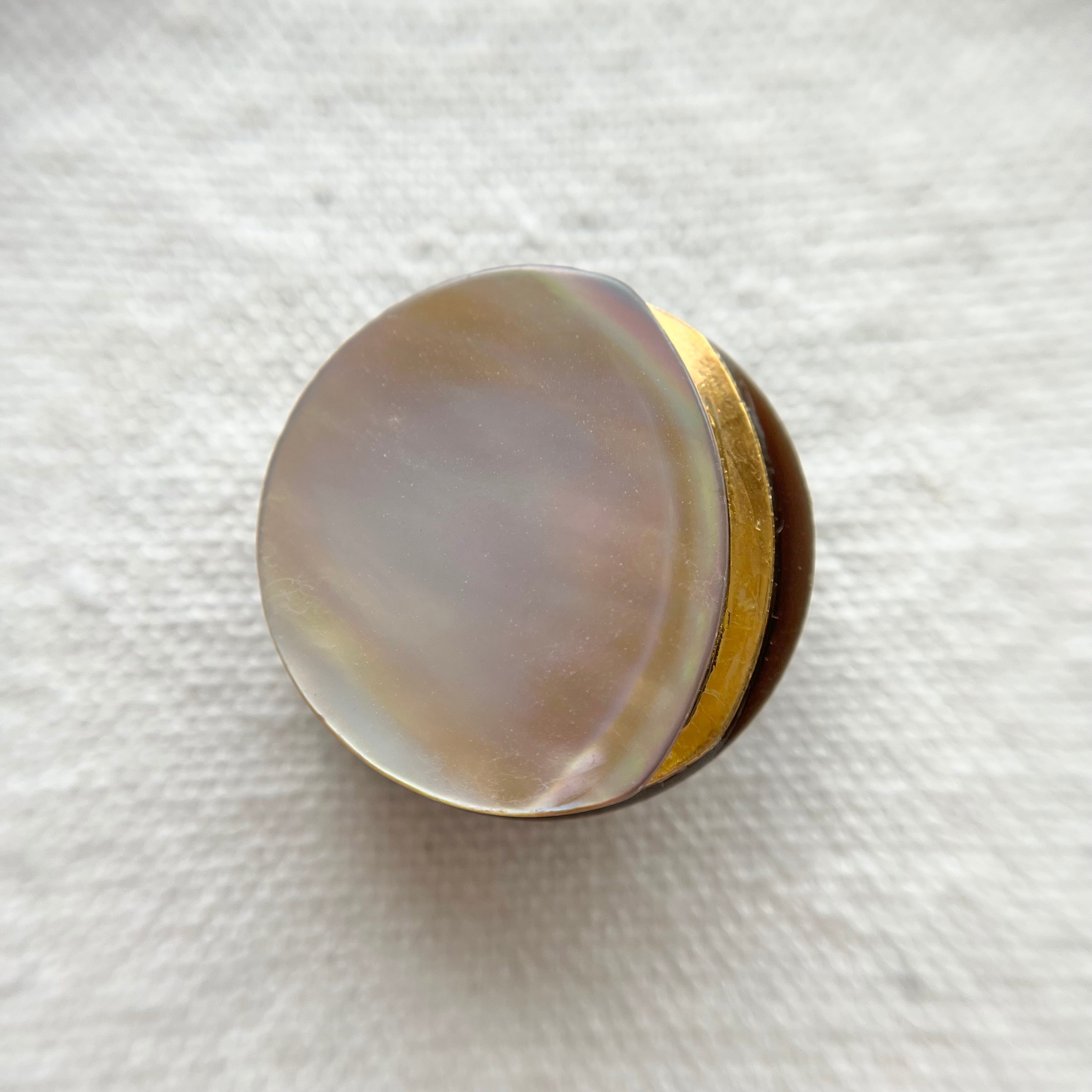 ゴールドライン×茶蝶貝 23㎜