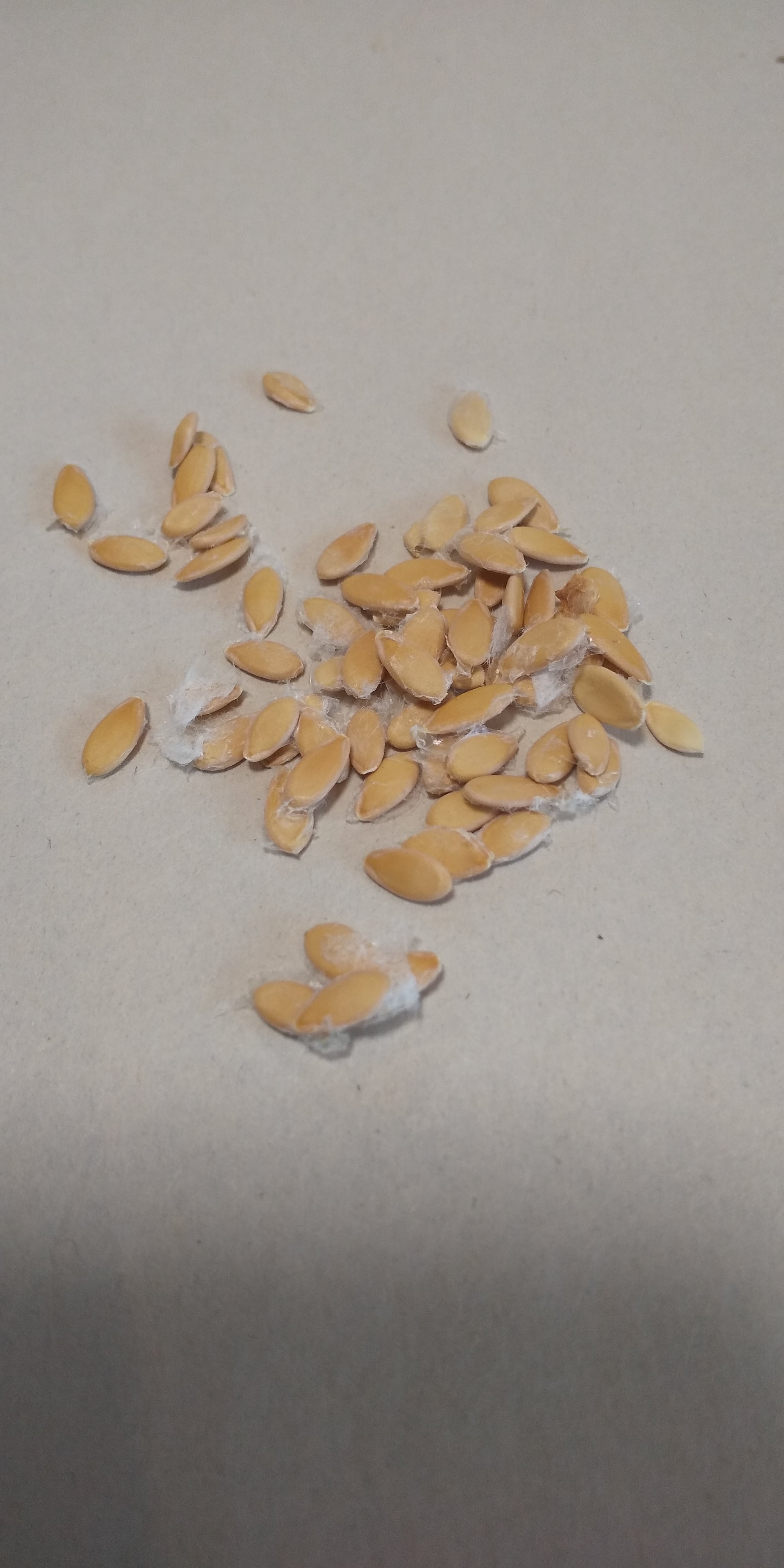 bdf45674d7ba2755c146b2b3005a9a