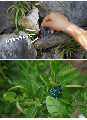 we know enough < (ウィーノーイナフ) mikke ミッケ