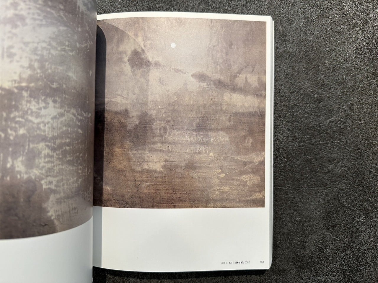 SA021】千住博の滝以外 / visual book | KITAZAWA BOOKSTORE