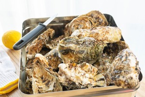 【KA-１】牡蠣・ひおうぎ貝のかんかん焼き