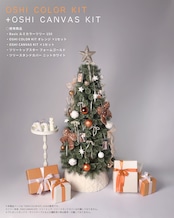 OSHI COLOR KIT . ݁₊ ⊹ ORANGE ⊹ ₊ ݁.【17pieces】