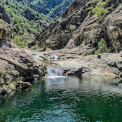ウルグアイ産 フレッシュキャビア バエリ種|非加熱・無添加|シベリアチョウザメの卵|粒径2.6〜2.8mm・マロソル仕立て(低塩)・アンデス岩塩使用|ギフトBOX付| Fresh Caviar from Uruguay – Baerii (Siberian Sturgeon)|Unpasteurized & Additive-Free|Grain Size 2.6–2.8mm|Lightly Salted with Andes Rock Salt|Gift Box Included|(50g)