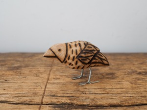 144sh091 インドのうずら S