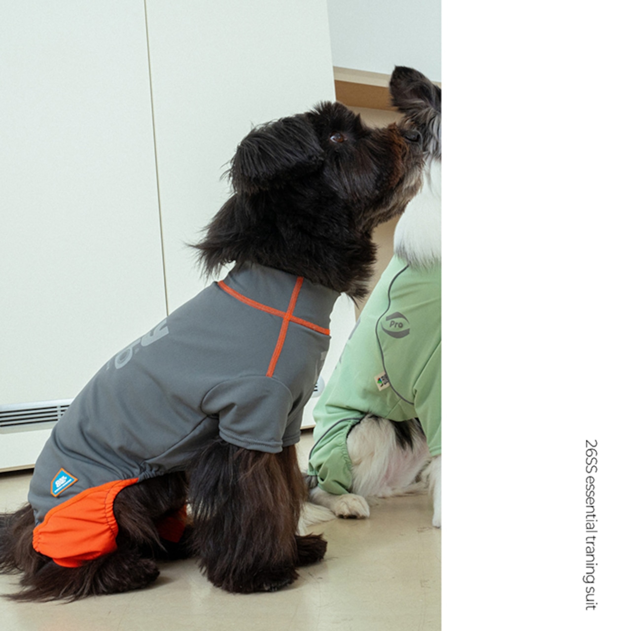 【puppygallery公式】Essential Training Suit (Short ) M-L
