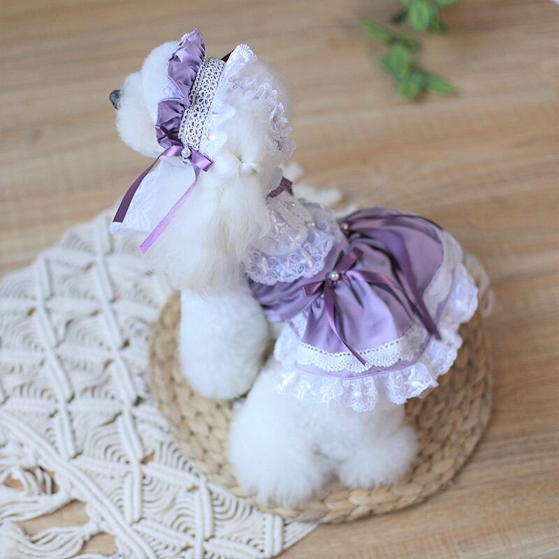 大型犬もOK さわやかパープルワンピース