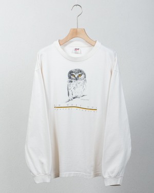 saw-whet owl illustration long sleeve tee Made In USA