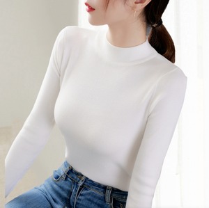 トップス Tシャツ ニットソー セーター 袖あり 長袖 ハイネック ハーフハイネック タイト 大人可愛い きれいめ シンプル カジュアル 上品 ラフ ラブリー セクシー 無地 春 秋 冬 バレンタイン 10代 20代 30代 レディース 女性用 女の子 オフィス ビジネス 通勤 学生 デート お出かけ 女子会 休日 パーティー 旅行 レストラン 着回し 普段使い 重ね着 ファッション コーデ スタイル 楽ちん モテ 色展開 ホワイト ブラック グレー ベージュ ピンク レッド イエロー ネイビー ブルー