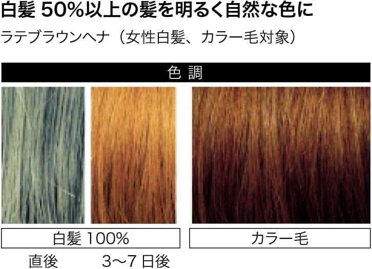 ジャパンヘナ ラテブラウンヘナ | Pay ID