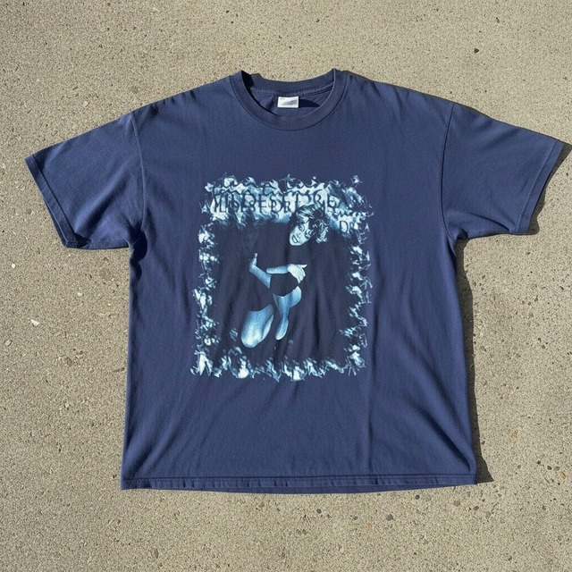 90s TINA TURNER "Wildest Dreams" 1996年 ツアーTシャツ XL ティナターナー