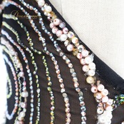 社交ダンス 衣装 クリスアン chrisanne スタンダードドレス ワンピース ドレス スタンダード フロート 茶色 赤 花 デモ 競技 ダンス パーティ 発表会 上品 レース 光沢 ブラック系 ブラウン系 高級感 おしゃれ競技用 発表用 レディース ダンス衣装