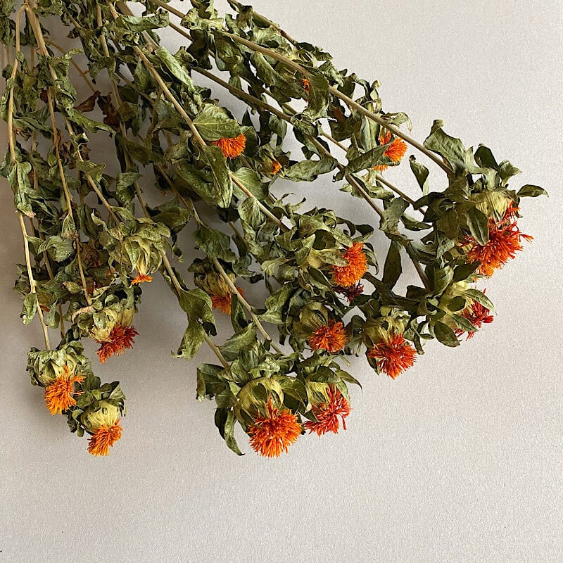 大枝】 ドライフラワー ベニバナ ( 紅花 べにばな 末摘花 )/ 北海道産