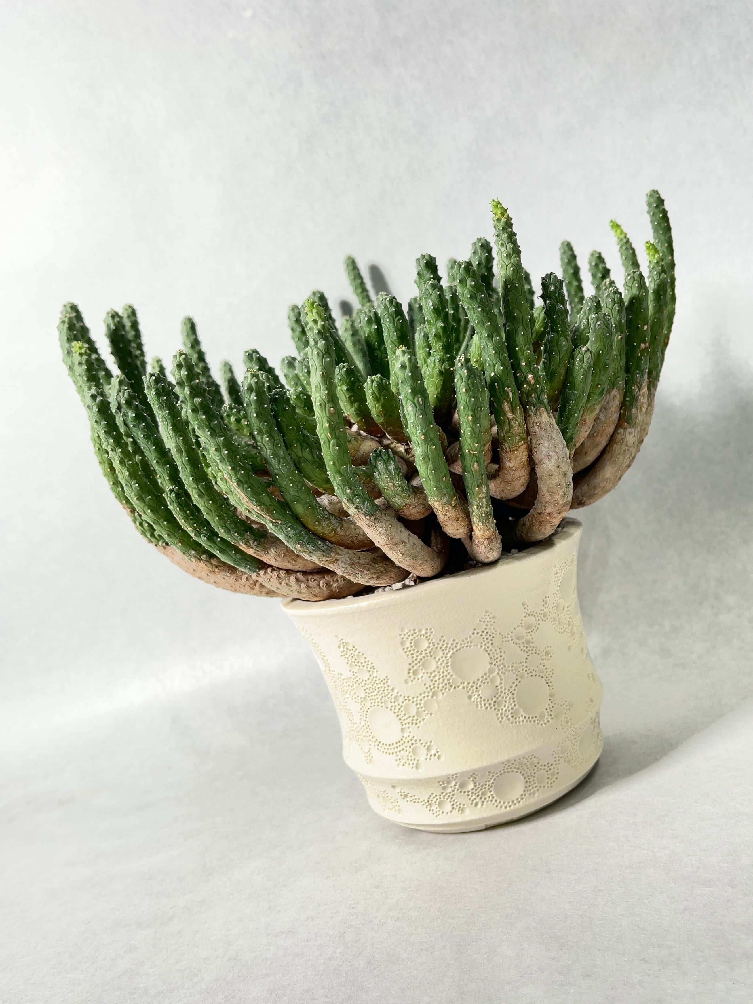 be06fd7d6b8821b55ac51331efff3d