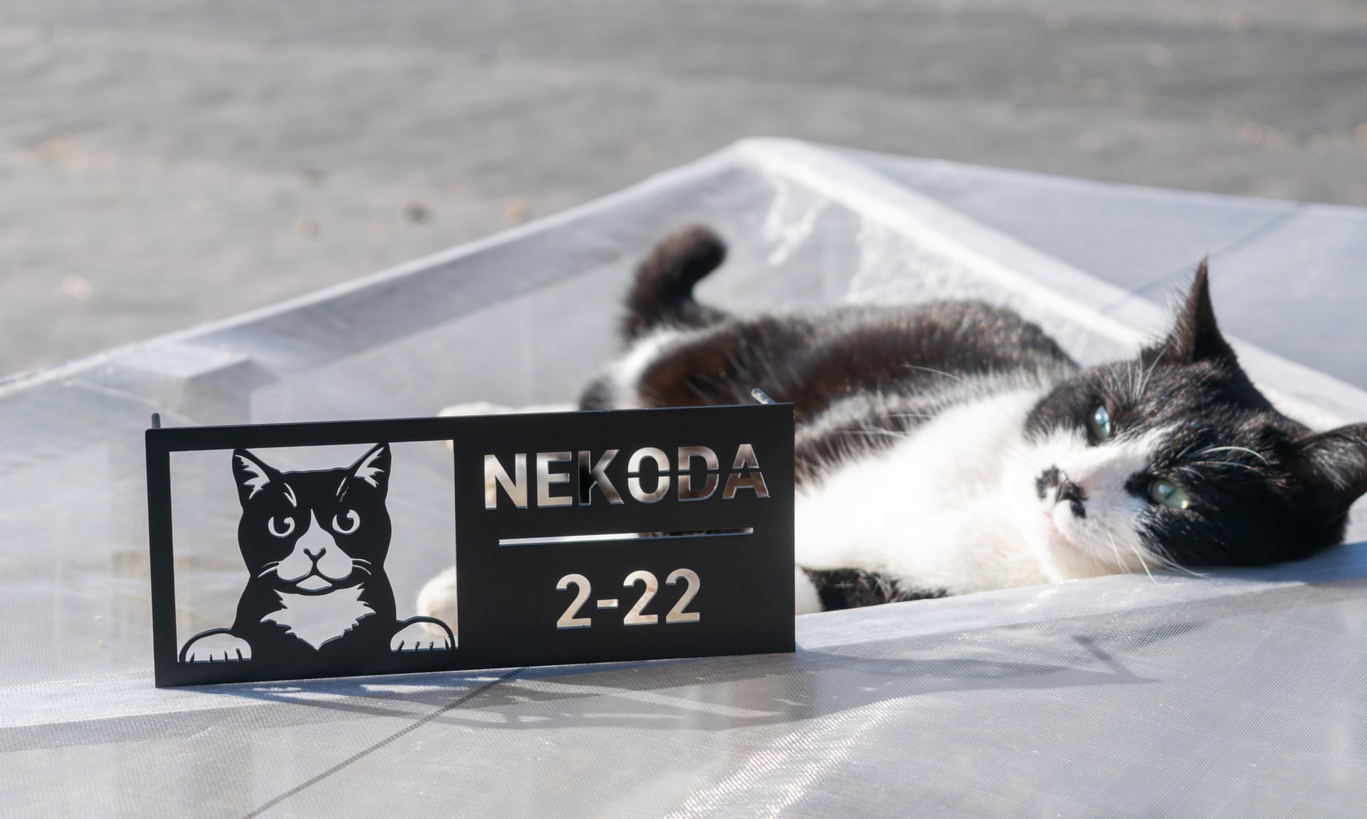 愛猫の写真で作る猫の表札【Have a good day!】オーダーメイド