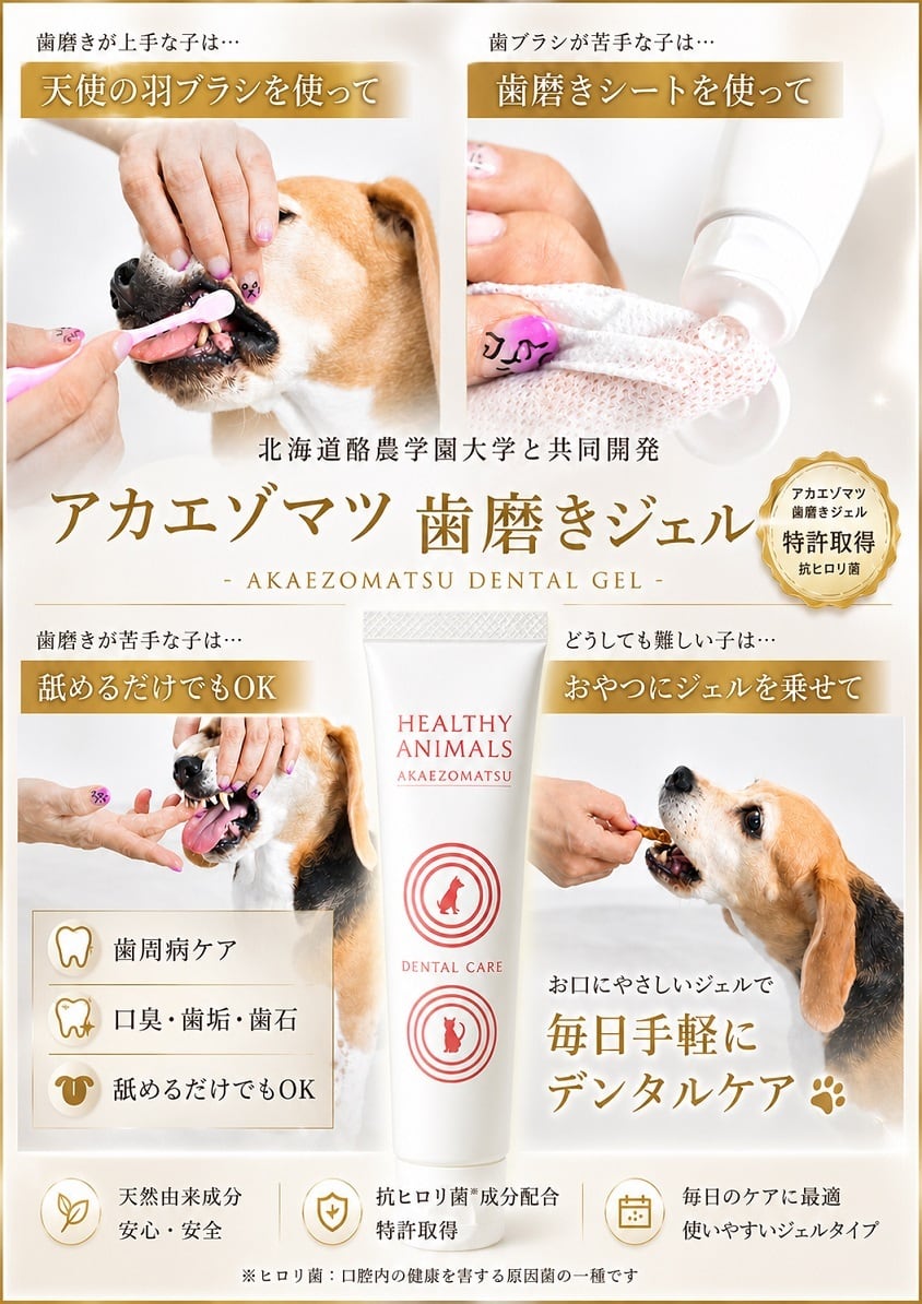 犬・猫用】歯周菌ケア アカエゾマツ歯磨きジェル｜大学共同研究開発