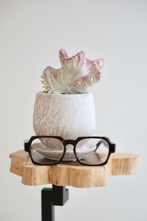 【S】ユーフォルビア ラクティア 綴化/Euphorbia lactea　※陶器鉢付き