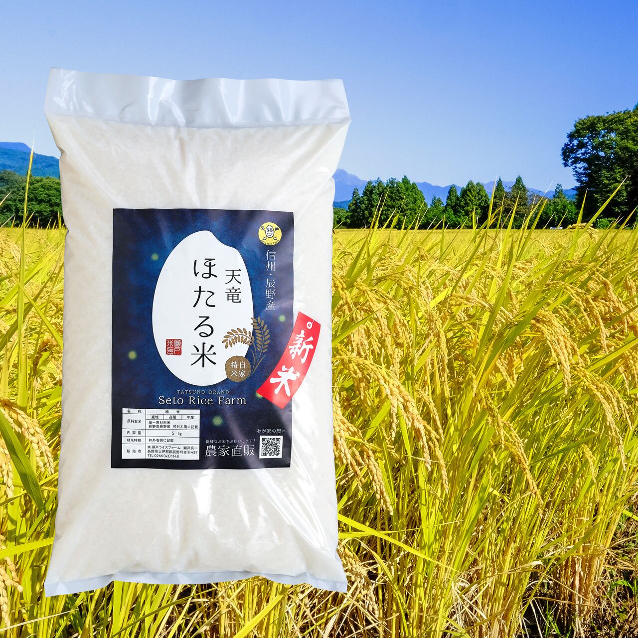 R7年産五百川玄米10㎏ 超早場米・新米】 千葉県いすみ産 五百川 玄米10kg 令和7年産（精米