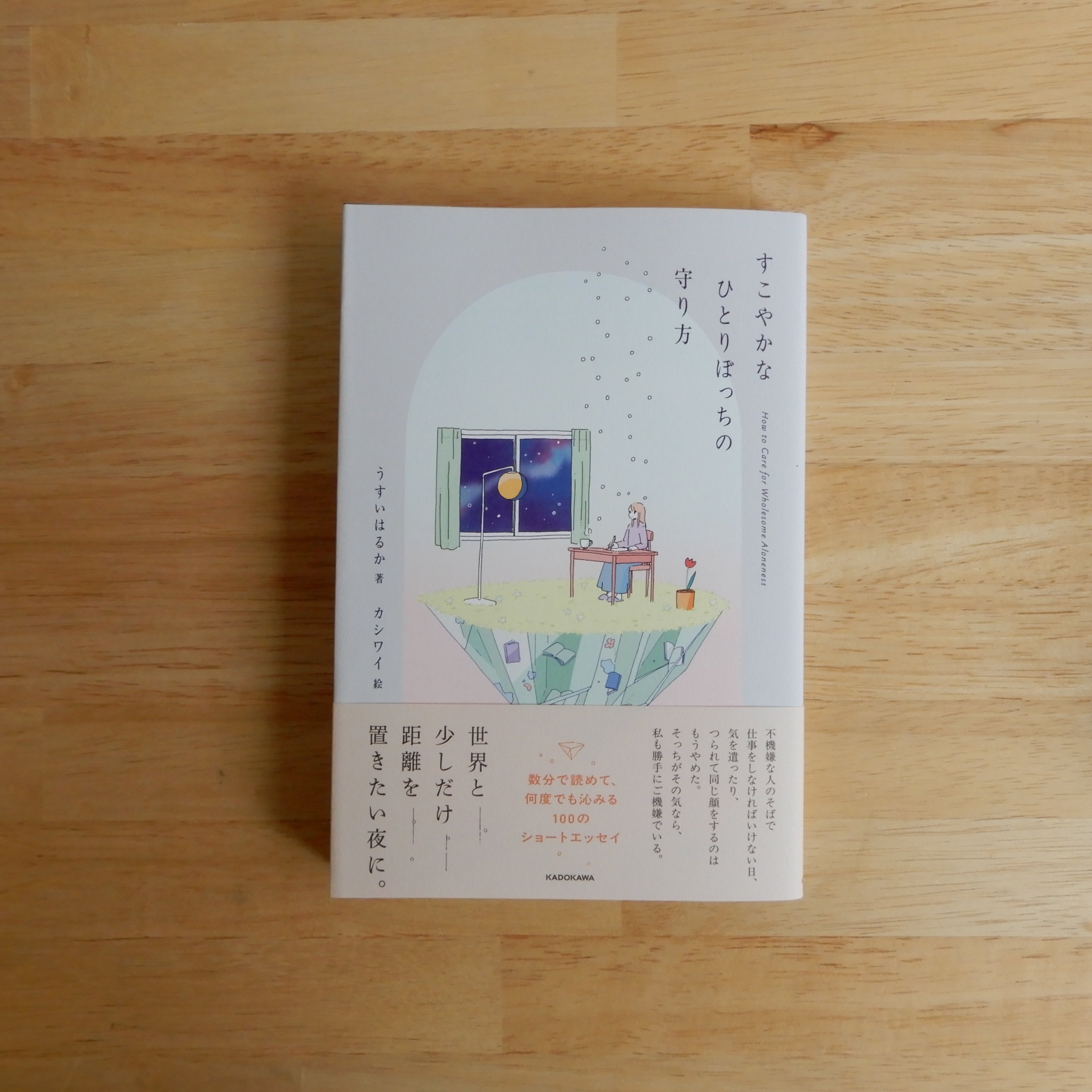 軽いノリノリのイルカ | 本のすみか