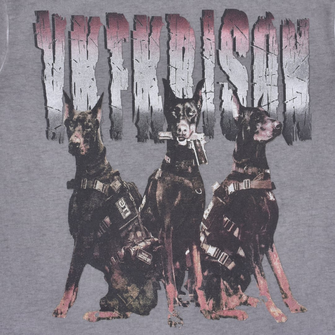 50%OFF】WASH DOBER BIG Tシャツ | VOLCAN&APHRODITE 公式通販