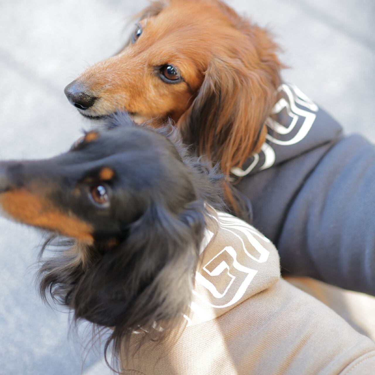 HUGME♡フーディ