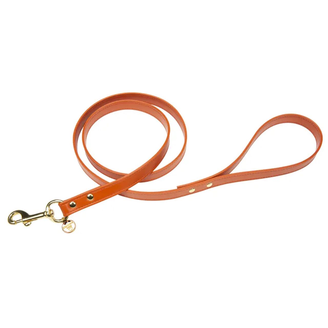 Art h1566NO leash Hermes(Gold) / Charlotte's Dress