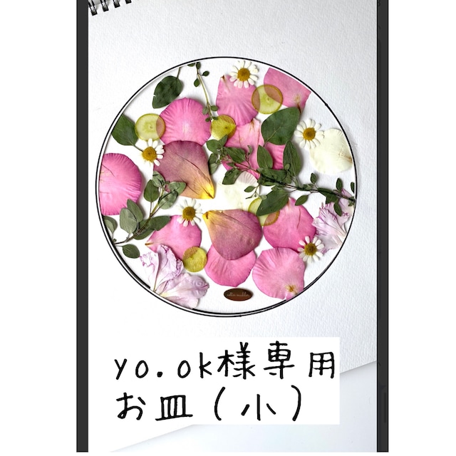 専用ページyo.ok様お皿（小）