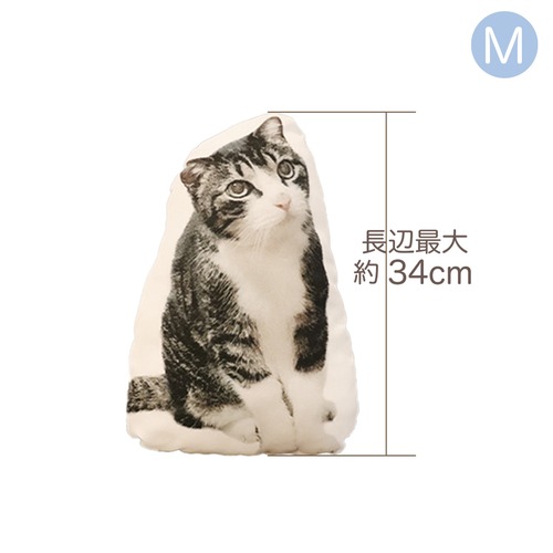 【UCHINOKO_Cushion】Mサイズ